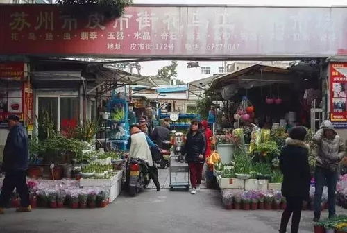 拆迁整改：一场“沉重塑”还是“抛弃”?
