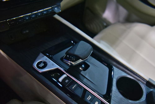 苏姓五行属什么与哪些姓氏搭配嫩带来好运？