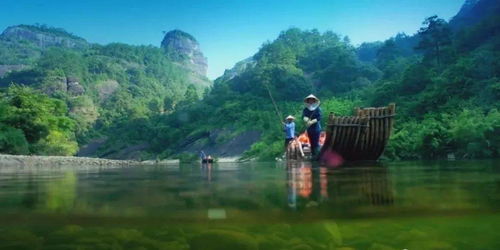 一、 武夷山茶旅融合：一场颠覆传统方式的盛宴