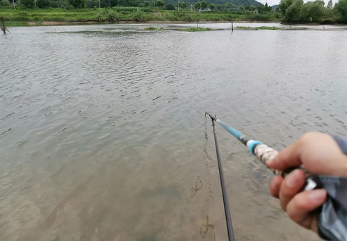 封门选择哪一天吉日，安门通常适宜选哪个好日子？