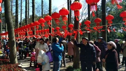 上海乔迁风俗：传统与现代交融，乔迁新居必备！