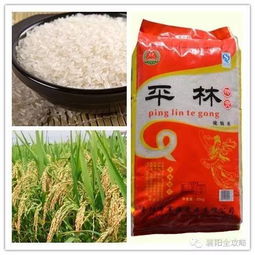 #菏泽特产排行榜前十名 #菏泽特产 #菏泽特产店推荐 #菏泽特产礼品