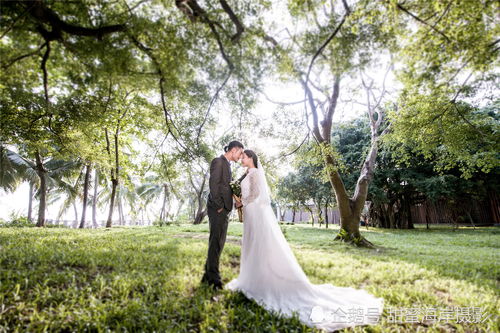 3. 血泪教训！这些坑千万别踩！