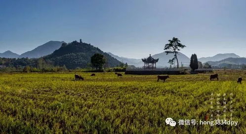 一、 茂林古村的地理位置与历史持续发展底蕴