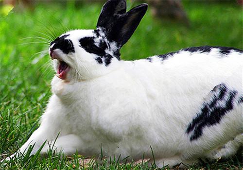 那东西深厚夜，  我遇到了...