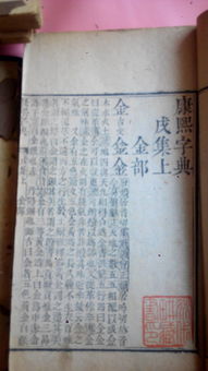 “家”的多重含义与象征
