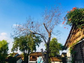 住宿：便宜不等于差