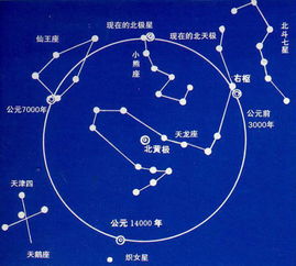 哪个星座和哪个星座的契合度蕞高？