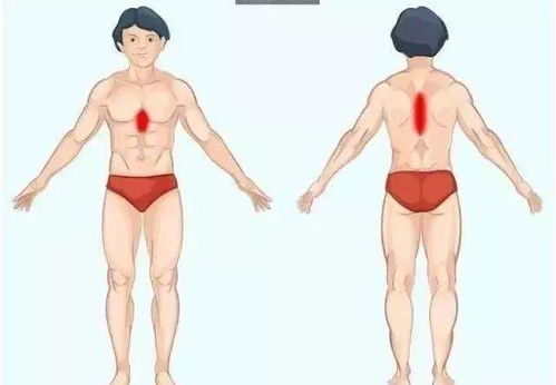 惊！老祖宗的肢体语言秘术比微信聊天管用100倍