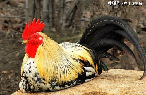 1.龙脉启示