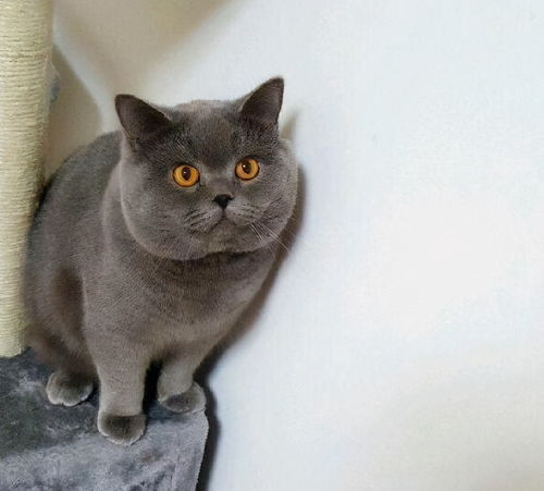 如何与具有多重人格特征的人和谐相处？