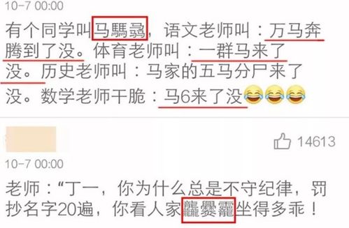 五行属性解析