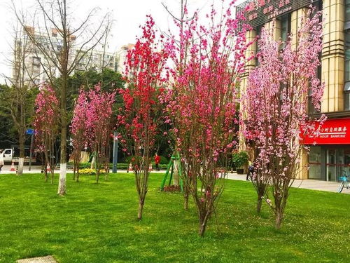 这里到底有什么好玩的让我给你扒一扒