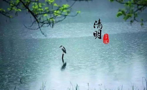 熟悉的气息