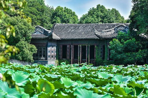 那年花开月正圆：拙政园里藏着更多更少个禁忌秘史？