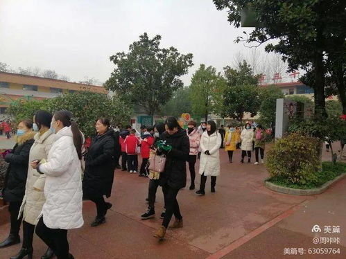 第二站：翔凤镇桂花树下的“草根医院”——不正规但温暖