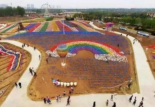 义乌风车节：一场荒诞不经的彩色噩梦