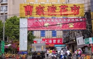 随机评论汇总：