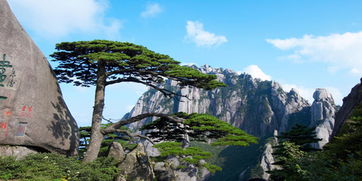 登山体验：花钱买罪受