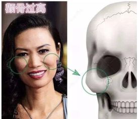 结论