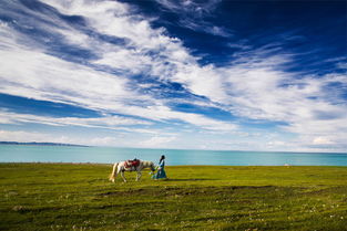 祁连草原：骑马奔腾