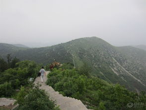 1）相山公园：历史持续发展与废墟