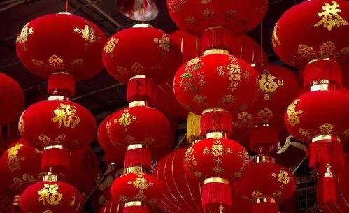 生肖牛的固执
