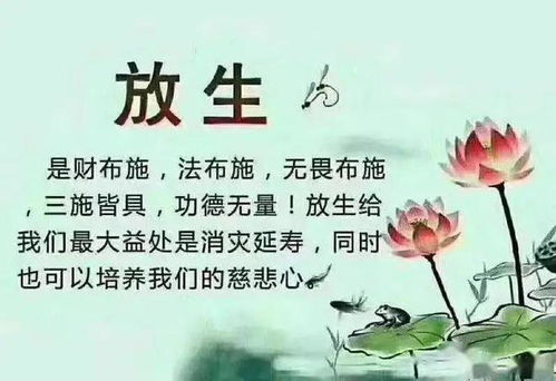 属狗得人是不是都这么