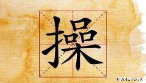 吐血整理:2025年沈郝宝宝取名宜忌表(附家较长真实实吐槽)