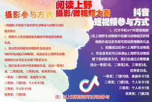 云端之上：一场令人心跳的高空旋转