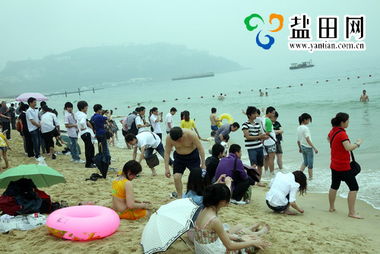 惯与那个黄贝岭站和小梅沙站的地铁…