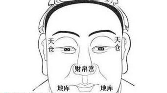 塌鼻梁面相的男性，性格特质揭秘！