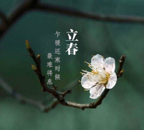 春分踏青，夏至避暑，秋分赏月，冬至团圆——24节气，中国风，民俗韵。