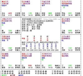 紫微斗数排盘如何进行详细解读和调整？