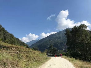A、随性漫步版——“蜻蜓点水式”