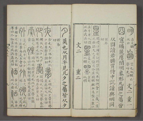 天啊！《说文解字》里居然藏着这么多不可告人的秘密？！