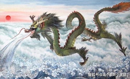 2026年属龙女性下半年事业财运具体表现如何？