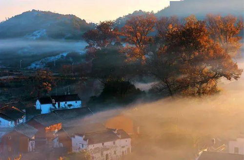 五、 实用小贴士（但我不保证全对）