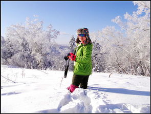 一场未知的冰snow之旅