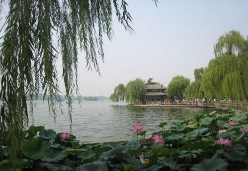 趵突泉， 泉水叮咚响