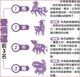 属马人本周运势如何？具体分析一下？