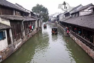 春天里的乌镇：花香与烟雨