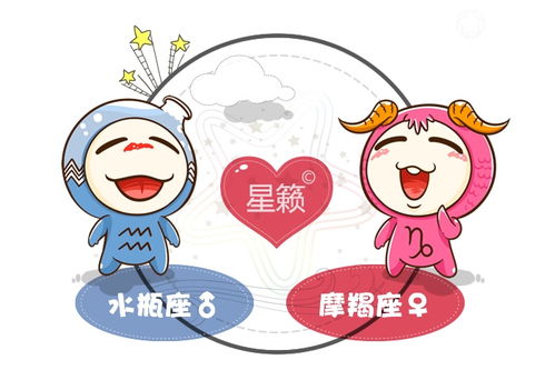摩羯和狮子配对指数高吗？水瓶座与水瓶座配对合适吗？