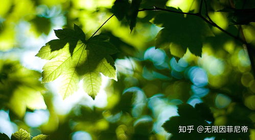 第二章：百草坡植物园，那个让人心痛的门票