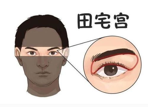 男人脸上无肉的面相是否代表运势不佳？