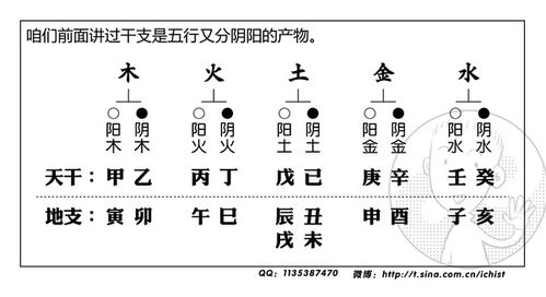 玄学韭菜的自我修养