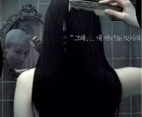 一、 生肖之谜：十二宫中的阴影