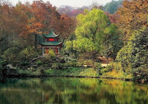 一、 周末岳麓山，花海美人图——这到底是不是真的嘛