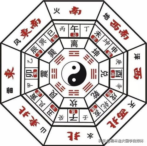 风水大师张实忠：一个被命运捉弄的玄学狂魔