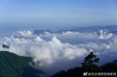 春日日出：大自然赋予的绝美画卷